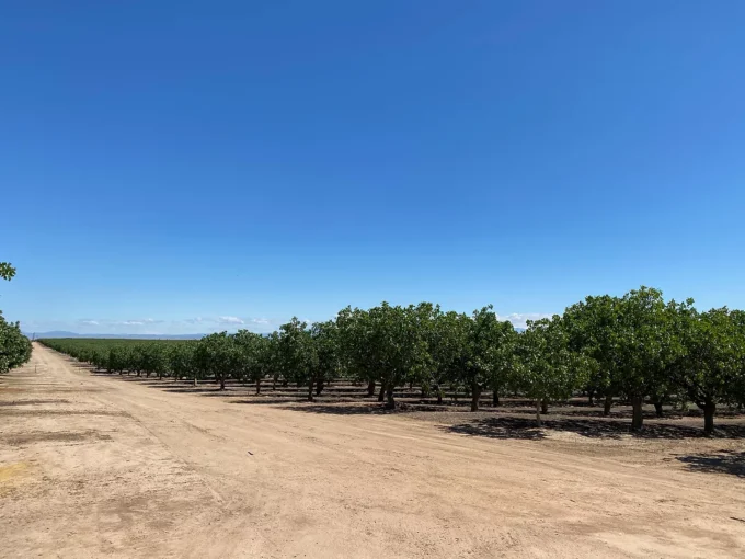 SOLD – 980.14 Acre Rainbow Orchards