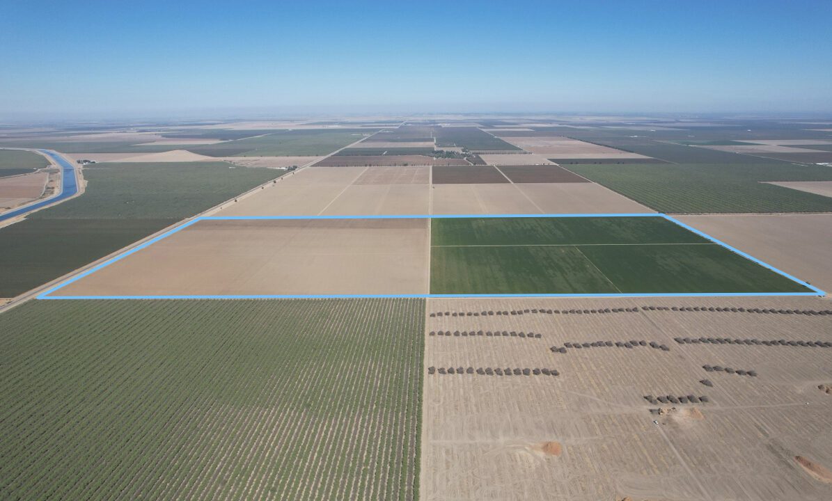 Panoche Row Crop Outline.1