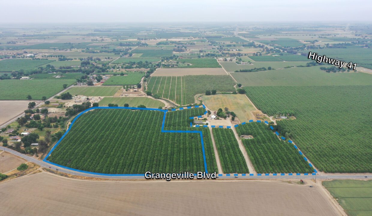 HA Pages-Template 33.66 AC almonds